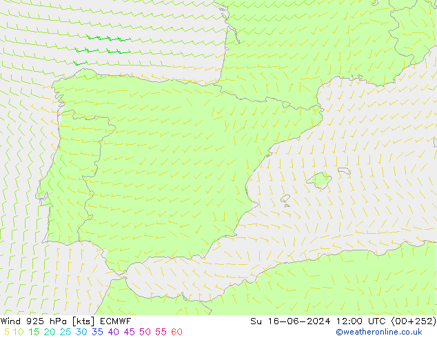 Rüzgar 925 hPa ECMWF Paz 16.06.2024 12 UTC