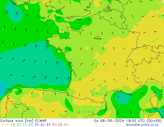 Surface wind ECMWF Sa 08.06.2024 18 UTC