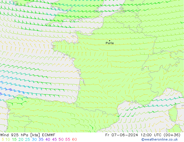 wiatr 925 hPa ECMWF pt. 07.06.2024 12 UTC