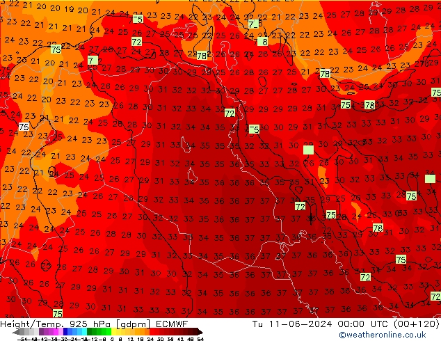 Height/Temp. 925 hPa ECMWF Tu 11.06.2024 00 UTC