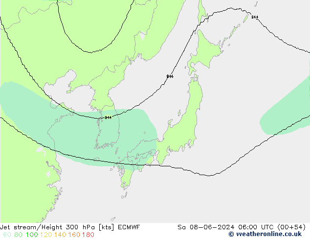 Polarjet ECMWF Sa 08.06.2024 06 UTC