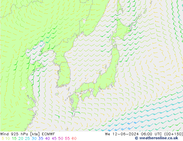 ветер 925 гПа ECMWF ср 12.06.2024 06 UTC