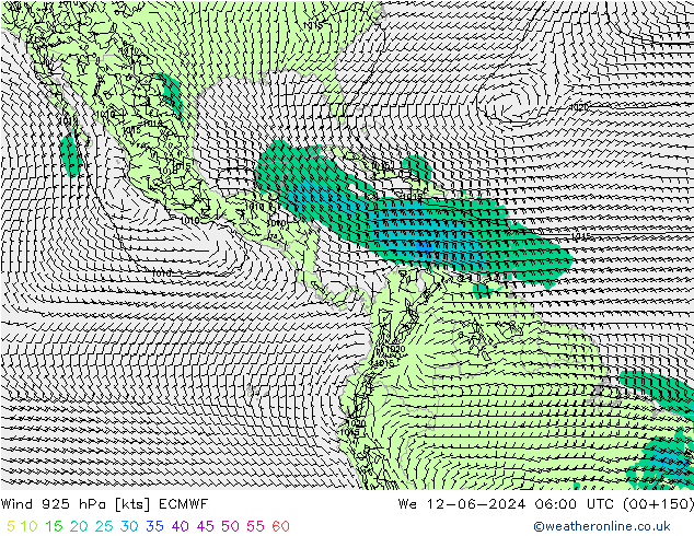  925 hPa ECMWF  12.06.2024 06 UTC