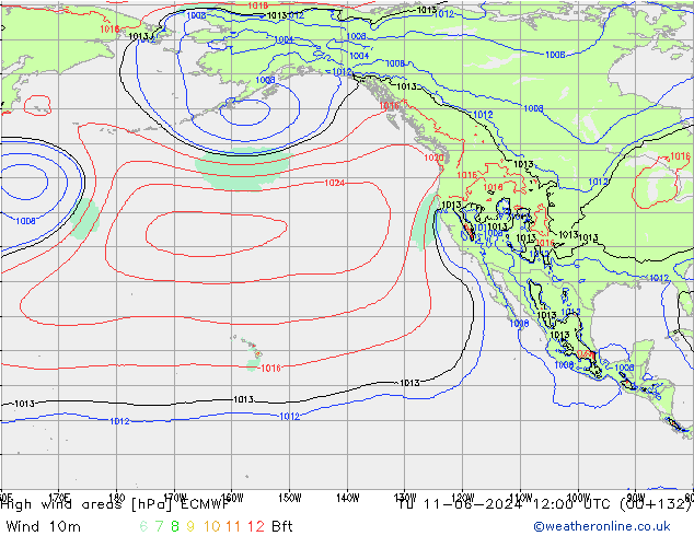 High wind areas ECMWF Út 11.06.2024 12 UTC