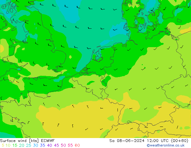  10 m ECMWF  08.06.2024 12 UTC