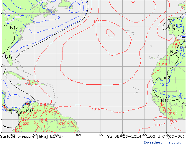      ECMWF  08.06.2024 12 UTC