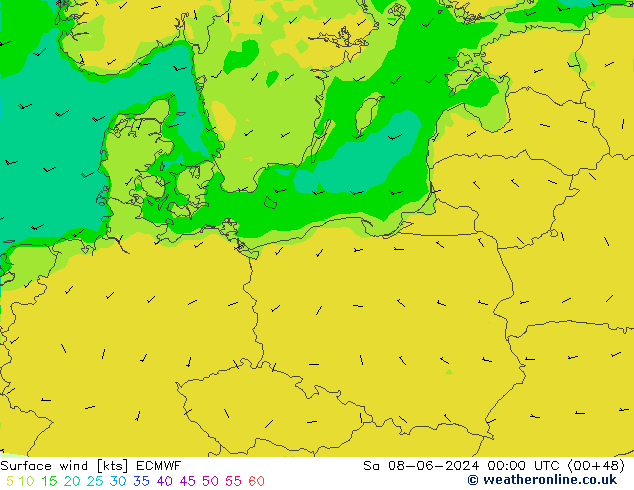 Surface wind ECMWF Sa 08.06.2024 00 UTC