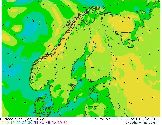 Bodenwind ECMWF Do 06.06.2024 12 UTC