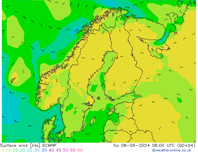 ветер 10 m ECMWF сб 08.06.2024 06 UTC