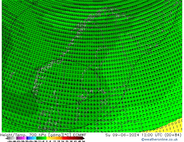 Height/Temp. 700 hPa ECMWF Dom 09.06.2024 12 UTC