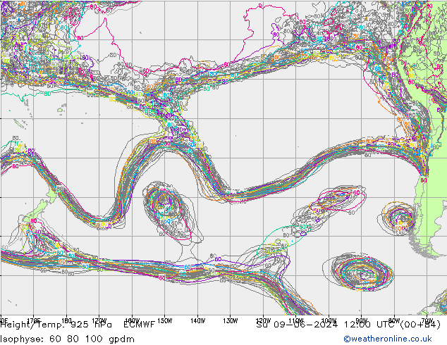 Height/Temp. 925 hPa ECMWF Su 09.06.2024 12 UTC