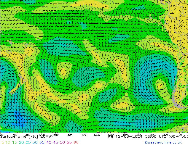 Surface wind ECMWF We 12.06.2024 06 UTC