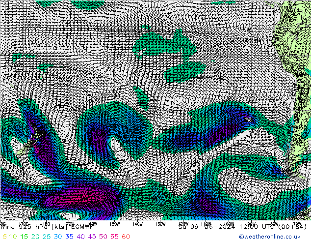 ветер 925 гПа ECMWF Вс 09.06.2024 12 UTC