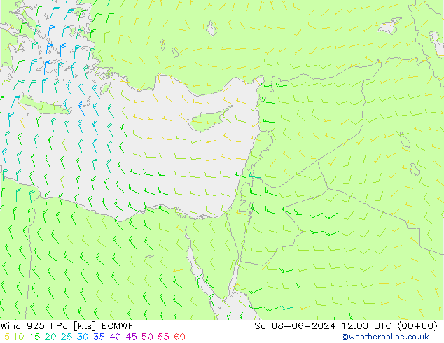 Vento 925 hPa ECMWF Sáb 08.06.2024 12 UTC