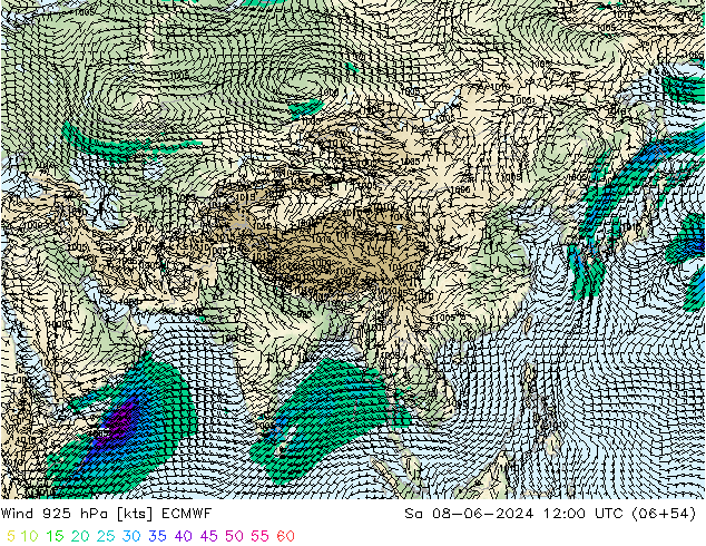 Vento 925 hPa ECMWF Sáb 08.06.2024 12 UTC