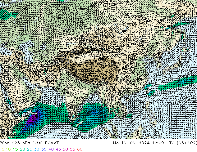  925 hPa ECMWF  10.06.2024 12 UTC