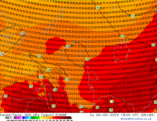 Height/Temp. 925 hPa ECMWF dom 09.06.2024 18 UTC