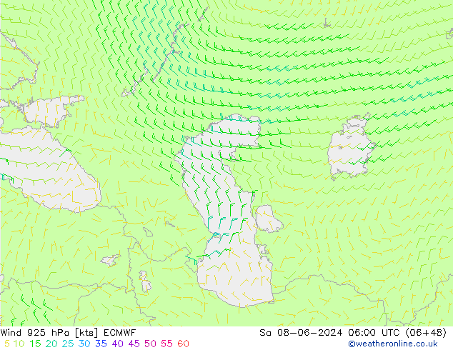 Wind 925 hPa ECMWF za 08.06.2024 06 UTC