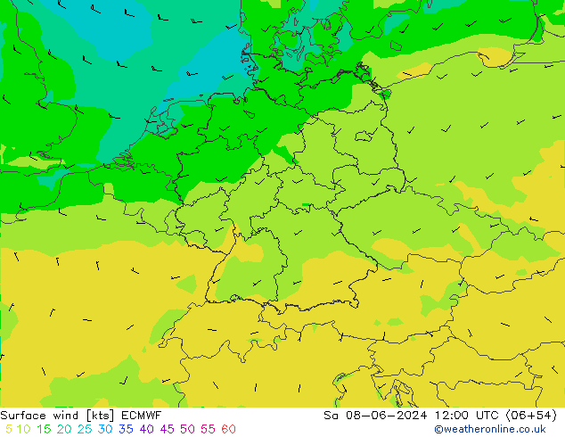 Vent 10 m ECMWF sam 08.06.2024 12 UTC