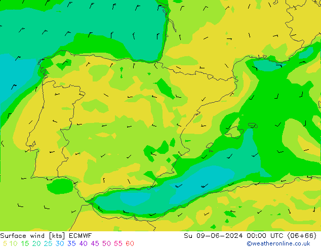 Surface wind ECMWF Su 09.06.2024 00 UTC