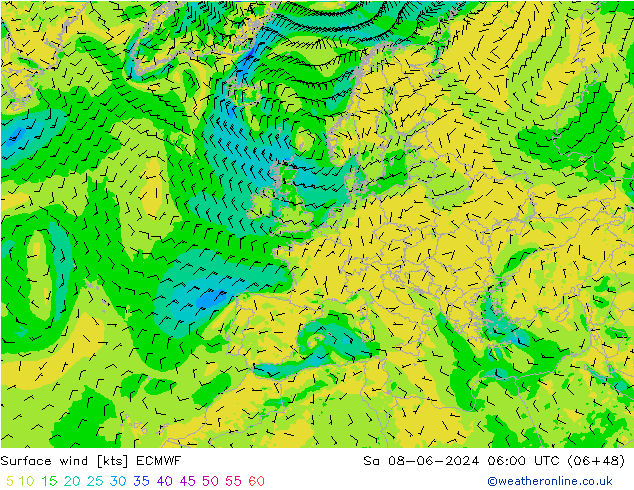 Surface wind ECMWF Sa 08.06.2024 06 UTC