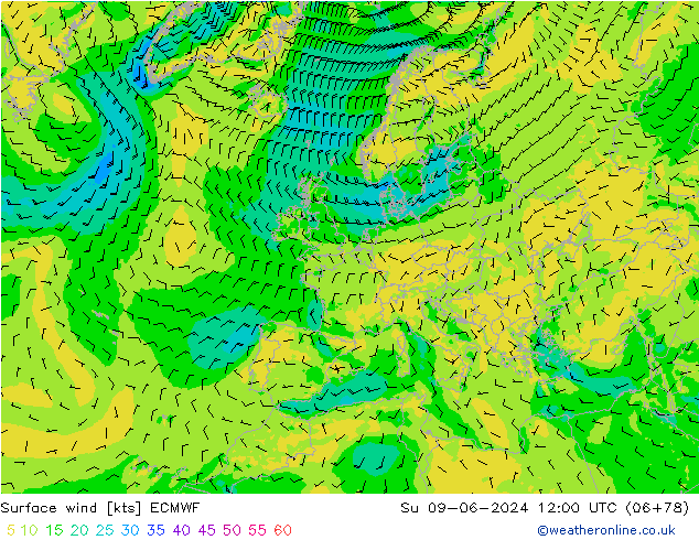 Wind 10 m ECMWF zo 09.06.2024 12 UTC