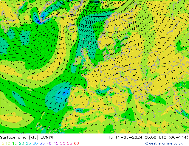 Bodenwind ECMWF Di 11.06.2024 00 UTC