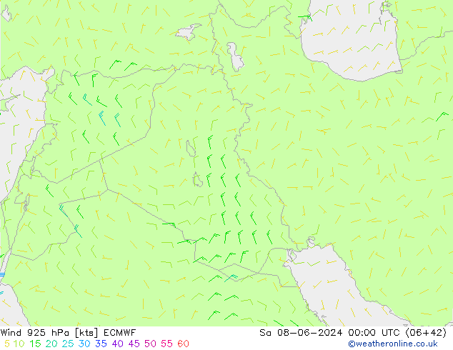  925 hPa ECMWF  08.06.2024 00 UTC