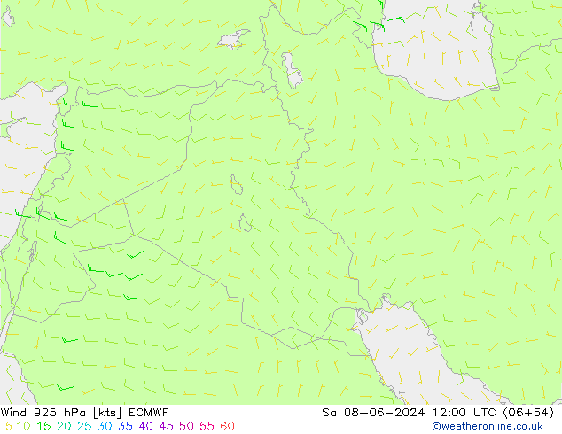  Sa 08.06.2024 12 UTC