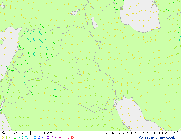   08.06.2024 18 UTC