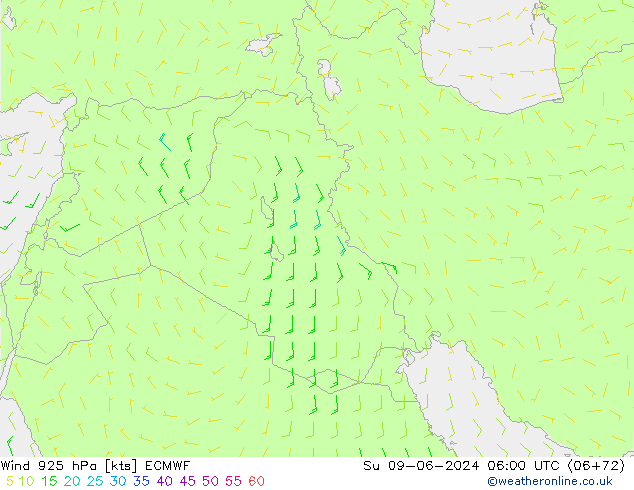   09.06.2024 06 UTC