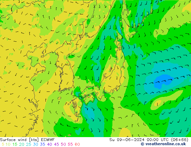 Rüzgar 10 m ECMWF Paz 09.06.2024 00 UTC