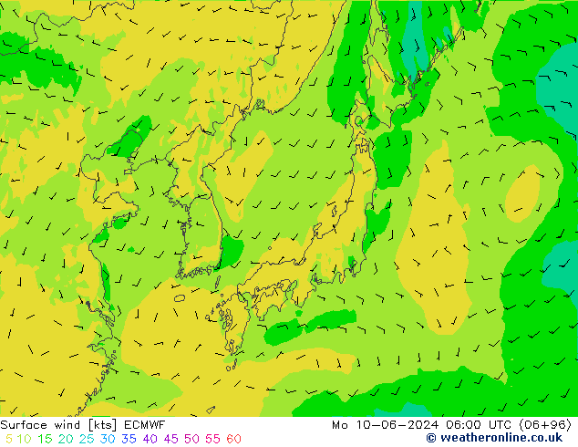  10 m ECMWF  10.06.2024 06 UTC