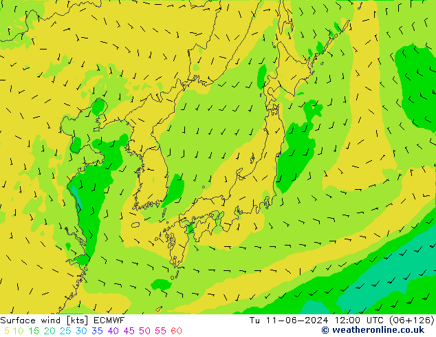 Vento 10 m ECMWF mar 11.06.2024 12 UTC