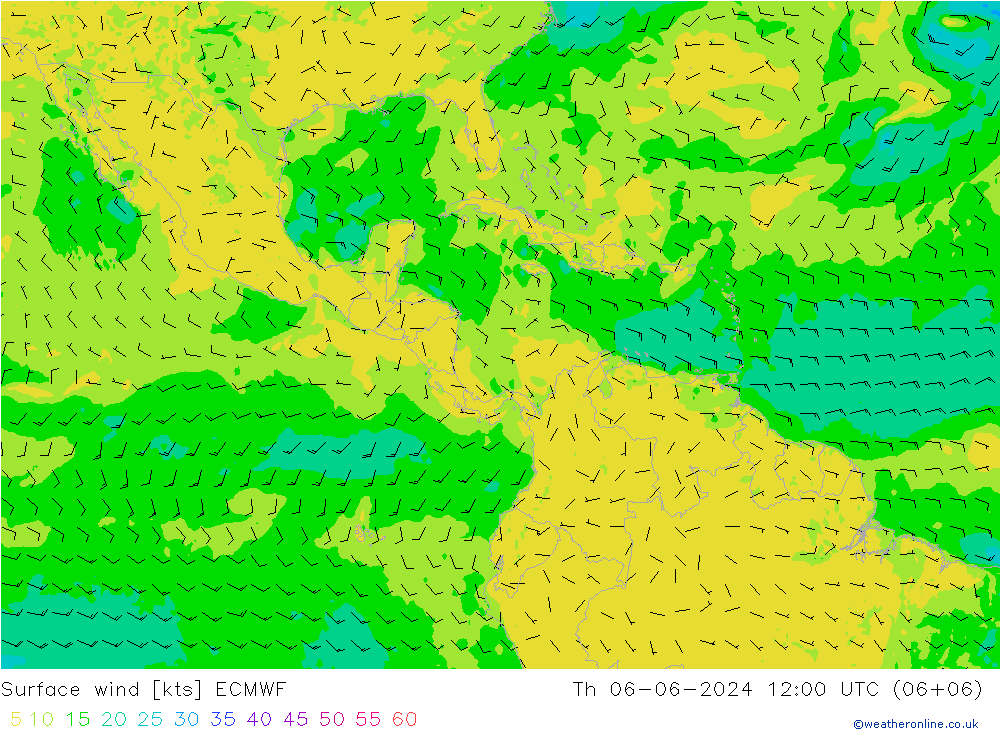  10 m ECMWF  06.06.2024 12 UTC