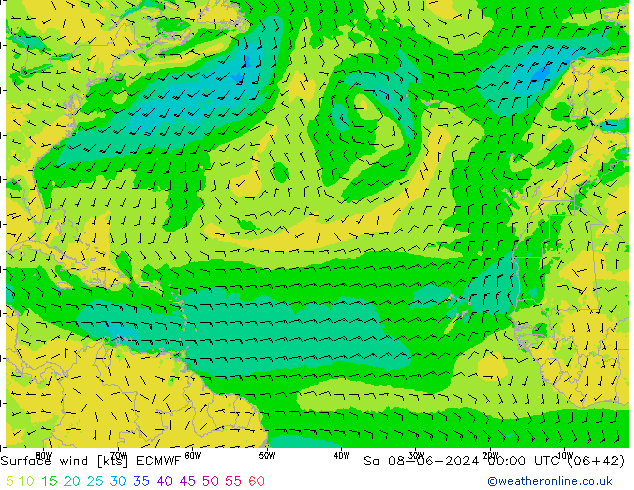 wiatr 10 m ECMWF so. 08.06.2024 00 UTC