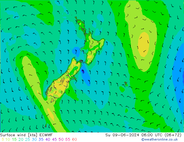  10 m ECMWF  09.06.2024 06 UTC