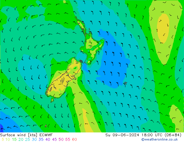 Viento 10 m ECMWF dom 09.06.2024 18 UTC