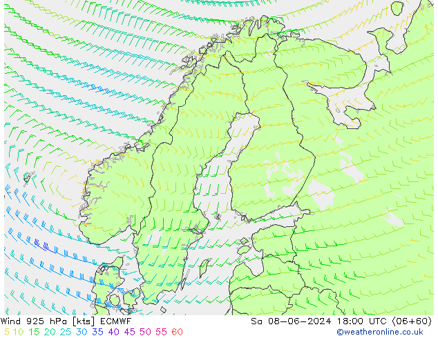 Rüzgar 925 hPa ECMWF Cts 08.06.2024 18 UTC