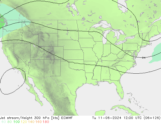  ECMWF  11.06.2024 12 UTC