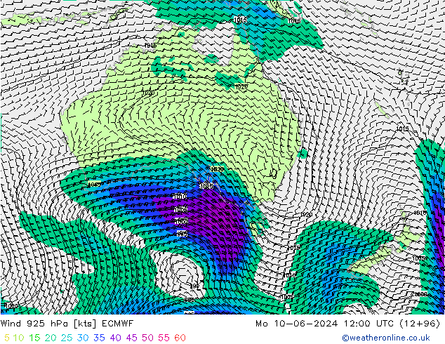 Rüzgar 925 hPa ECMWF Pzt 10.06.2024 12 UTC