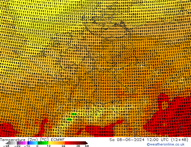 Temperatura (2m) ECMWF sab 08.06.2024 12 UTC