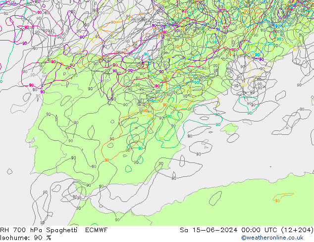 RH 700 hPa Spaghetti ECMWF Sa 15.06.2024 00 UTC