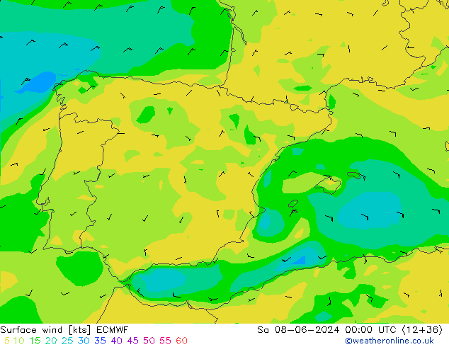 Vento 10 m ECMWF sab 08.06.2024 00 UTC