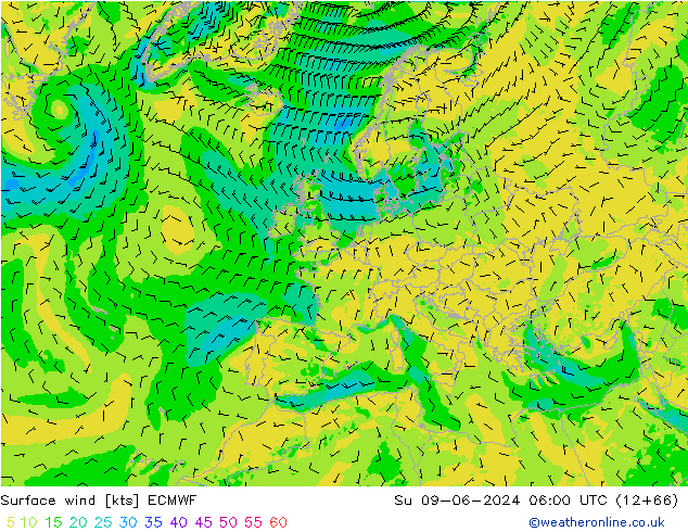 Vento 10 m ECMWF Dom 09.06.2024 06 UTC