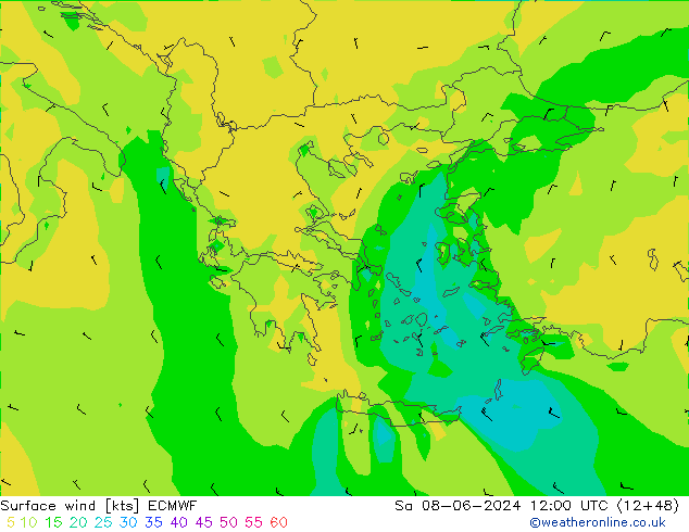 ветер 10 m ECMWF сб 08.06.2024 12 UTC