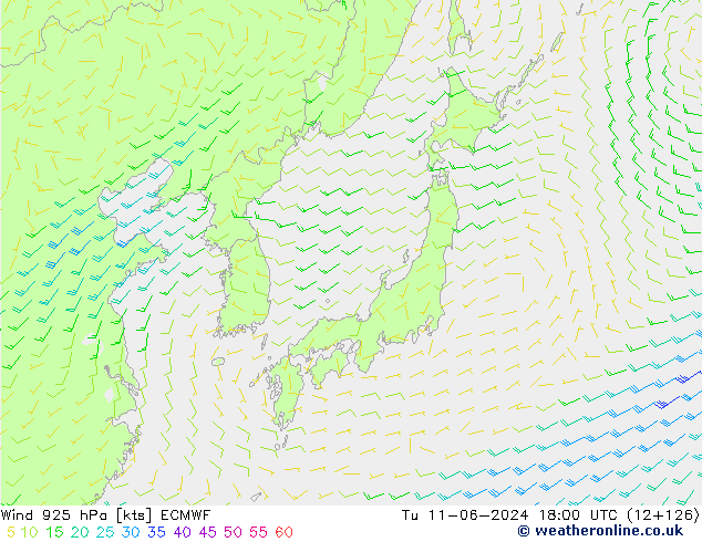 Wind 925 hPa ECMWF Tu 11.06.2024 18 UTC