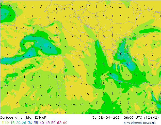 Surface wind ECMWF Sa 08.06.2024 06 UTC