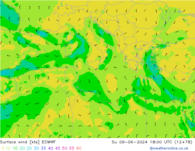  Ne 09.06.2024 18 UTC