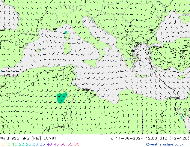 Wind 925 hPa ECMWF Tu 11.06.2024 12 UTC